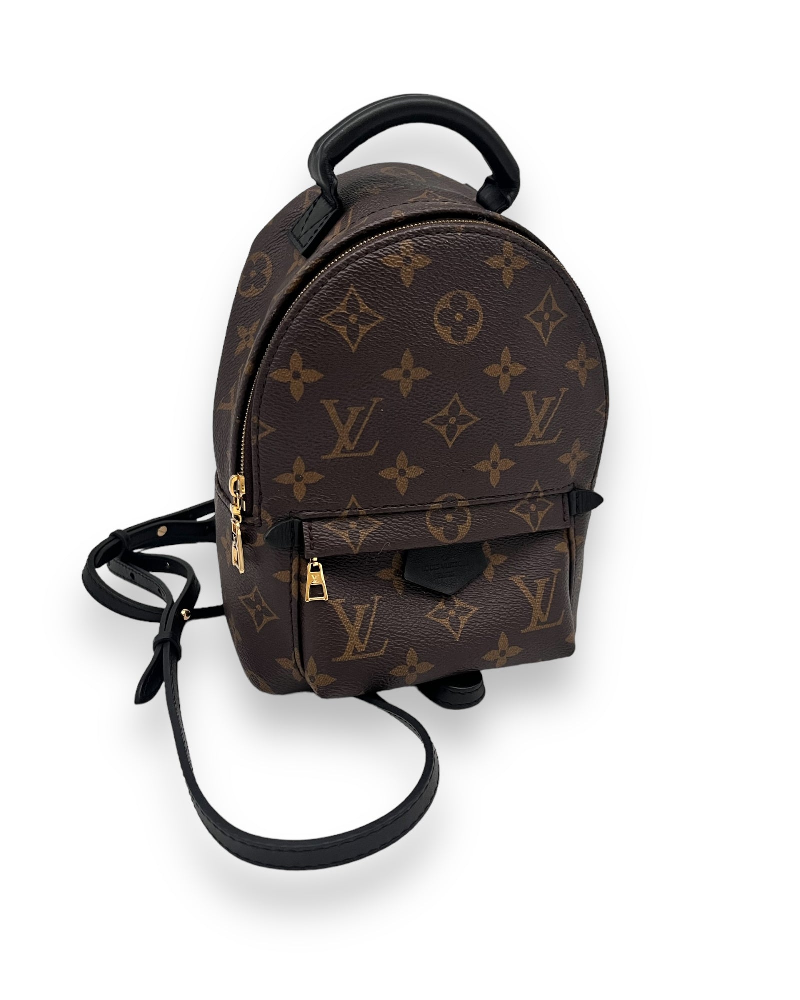 Louis Vuitton Palm Springs Mini Backpack Monogram